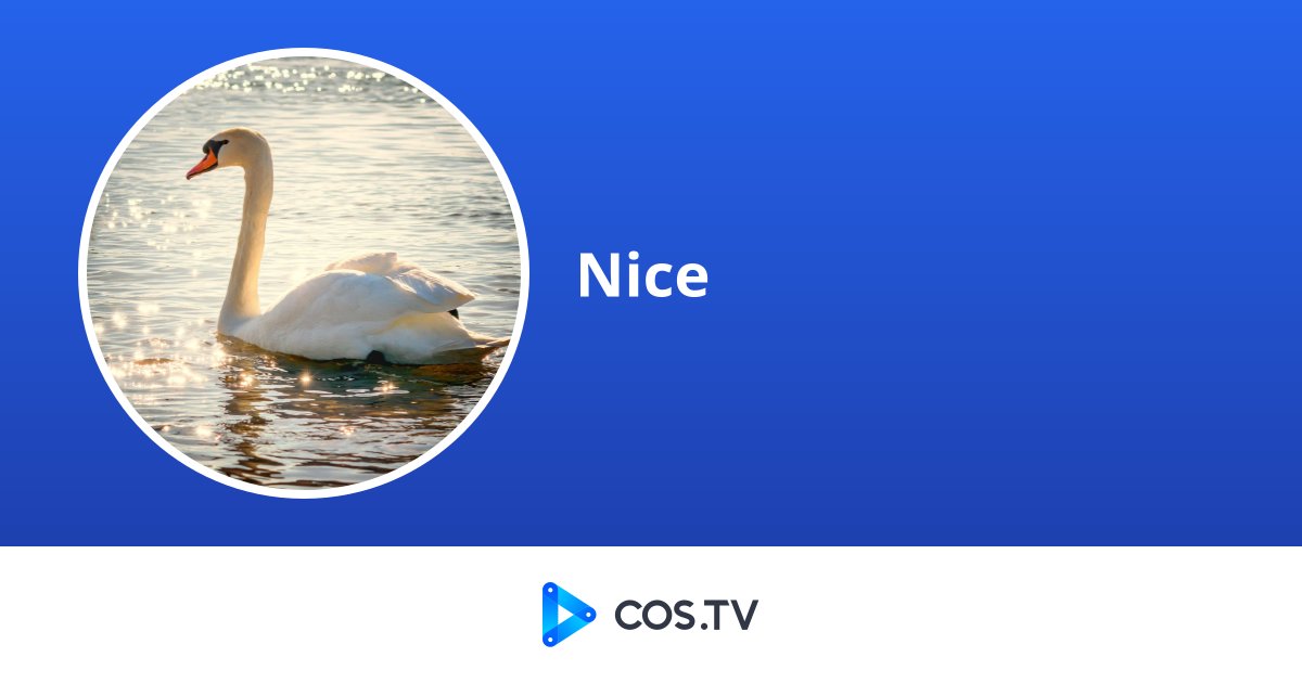 Nice Cos Nice - COS.TV Creator